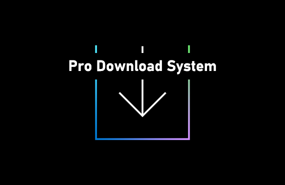 Professional Download System